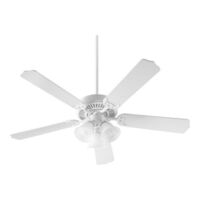 Large Ceiling Fan