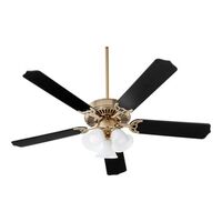 Large Ceiling Fan