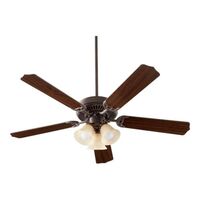 Large Ceiling Fan