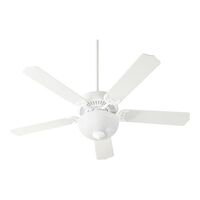 Large Ceiling Fan