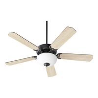 Large Ceiling Fan