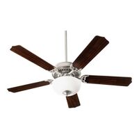 Large Ceiling Fan