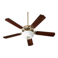 Large Ceiling Fan