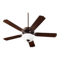 Large Ceiling Fan