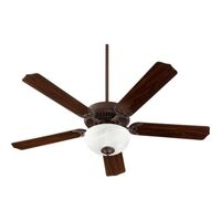 Large Ceiling Fan