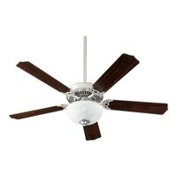 Large Ceiling Fan