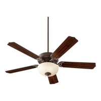 Large Ceiling Fan