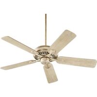 Large Ceiling Fan