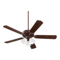 Large Ceiling Fan