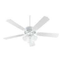 Large Ceiling Fan