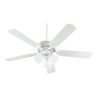 Large Ceiling Fan