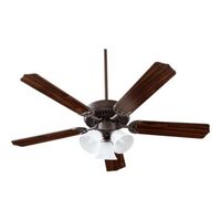 Large Ceiling Fan