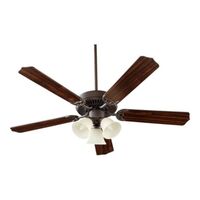 Large Ceiling Fan