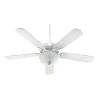 Large Ceiling Fan