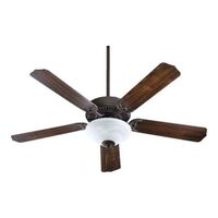 Large Ceiling Fan