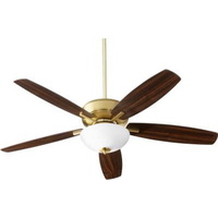 Large Ceiling Fan