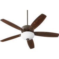 Large Ceiling Fan