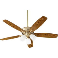 Large Ceiling Fan