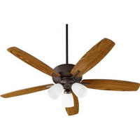 Large Ceiling Fan