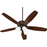 Large Ceiling Fan