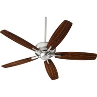 Large Ceiling Fan