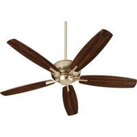 Large Ceiling Fan