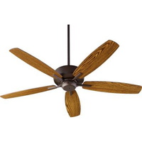 Large Ceiling Fan