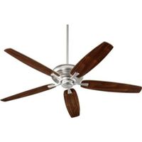 Large Ceiling Fan