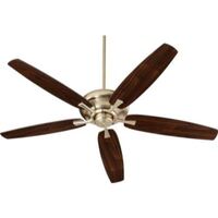 Large Ceiling Fan