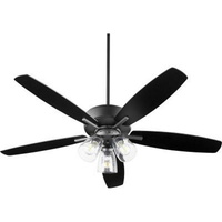 Large Ceiling Fan