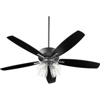 Large Ceiling Fan