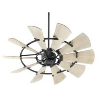 Large Ceiling Fan