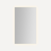 Swing Door Medicine Cabinet