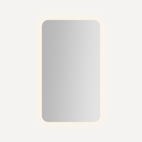 Swing Door Medicine Cabinet