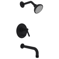 Tub & Shower Faucet Tub & Shower Faucet
