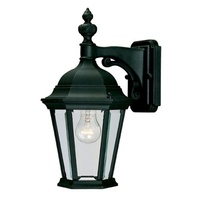 Outdoor Wall Light 15-1/2" Height