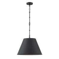 Down Light Pendant 12" Width