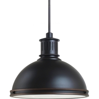 Down Light Pendant 16" Width Down Light Pendant 16" Width