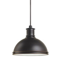 Down Light Pendant 16" Width Down Light Pendant 16" Width