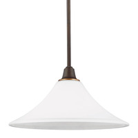 Down Light Pendant Down Light Pendant