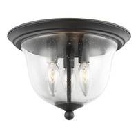 Flush Mount Ceiling Light