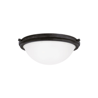 Flush Mount Ceiling Light 17-3/4" Width