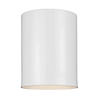 Ceiling Mounted Light