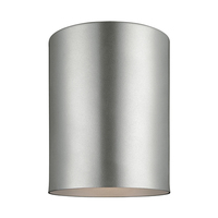 Ceiling Mounted Light Ceiling Mounted Light