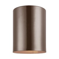 Ceiling Mounted Light Ceiling Mounted Light