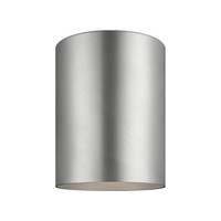 Flush Mount Ceiling Light