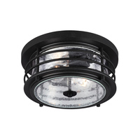Ceiling Mounted Light 12-1/4" Width Ceiling Mounted Light 12-1/4" Width