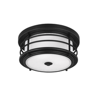 Ceiling Mounted Light Ceiling Mounted Light