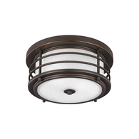 Ceiling Mounted Light Ceiling Mounted Light