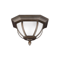 Ceiling Mounted Light 13-1/2" Width Ceiling Mounted Light 13-1/2" Width